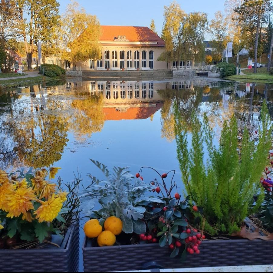 Hotel Garni Schloss Schoenberg Bad Brambach Zewnętrze zdjęcie